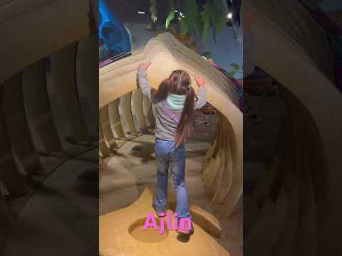 Children’s museum, Minnesota #FIP #Museum #Kids #YouTubeShorts #Sisters #Fun #Playing#AldinaAndAjlin