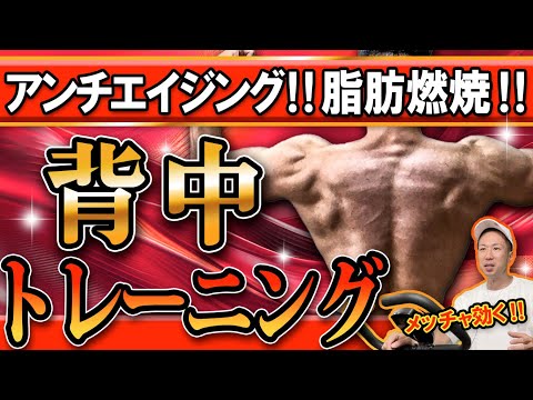 脂肪燃焼‼アンチエイジング‼ダンベルを使った背中トレーニング‼しんどく無いやつ‼️