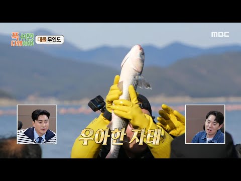 [푹 쉬면 다행이야] 대형 숭어의 우아한 자태에 감탄 폭발한 일꾼들! ＂제일 큰 거 같아요＂, MBC 250310 방송