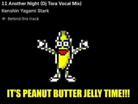 another night (DJ tora vocal mix)