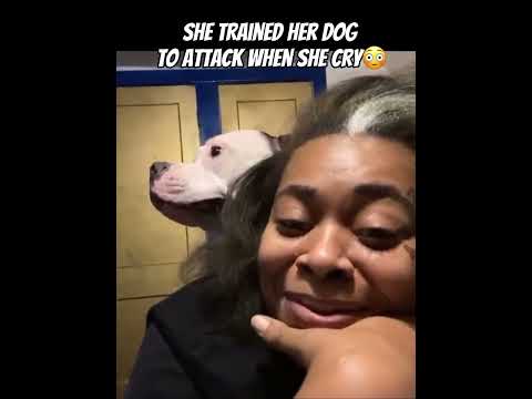 No Way 🤯🤯 #funnyvideo #funnydogvideos #funnydogs #shorts