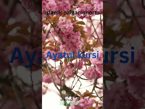 Ayatul kursi#quran#shorts#islamicshorts#shortsvideo#whattsupstatus#calmrecitation#shorts