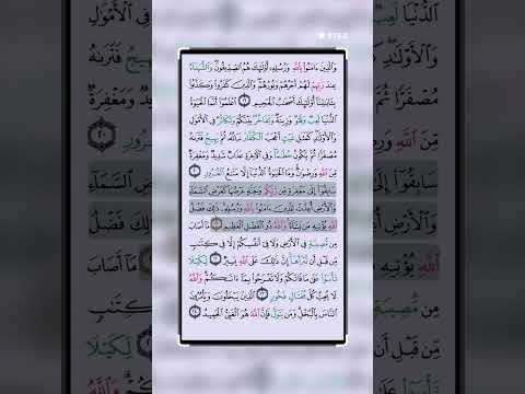 سعد الغامدي سورة الحديد الاية21 #اكسبلور #qurankarim #تيك_توك #القرآن_الكريم ( thabeeqv2pg )