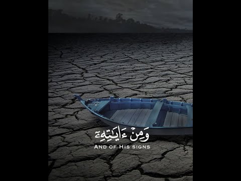 تلاوة هادئة وقصيرة  || القارئ : إسلام صبحي || سورة : فصلت 🌷💚🌷