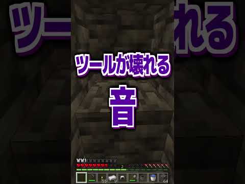 一度は味わった恐怖【あるある】 #マイクラ #あるある #minecraft #speedrun