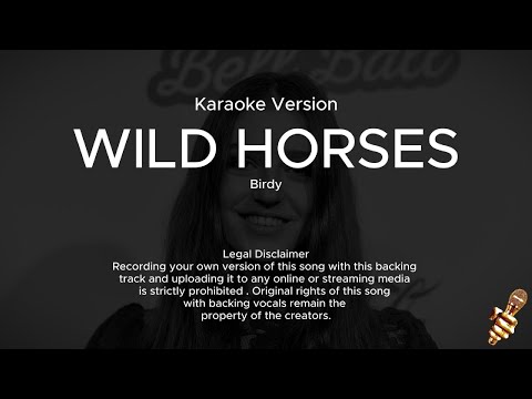 Birdy - Wild Horses (Karaoke Version)