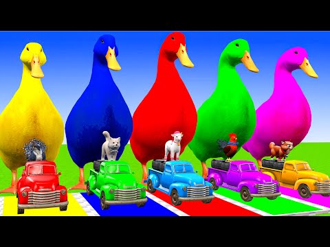 5 Giant Duck, Monkey, Piglet, chicken, dog, mammoth,tiger, Sheep, Transfiguration funny animal 2023