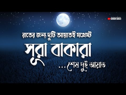 রাতের জন্য দুটি আয়াতই যথেষ্ট - সূরা বাকারার শেষ দুই আয়াত । By Alaa Aqel