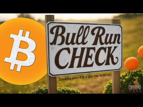 🟠 Bitcoin Bull Run Check 🟠 episode 1