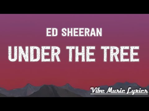 Ed Sheeran - Under the Tree (Lyrics)