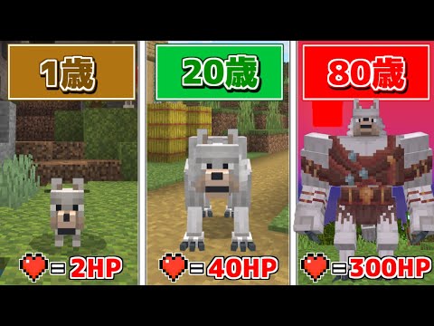 だんだん『オオカミ』が年をとる世界でサバイバルしたらとんでもなかった...【マインクラフト】