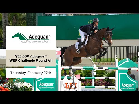 Watch Round 8 of the WEF Challenge Cup