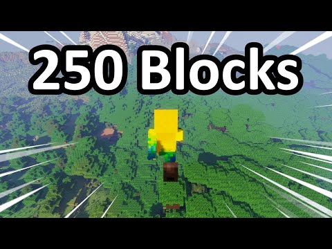 Minecraft's Longest Jump (How you can jump 250+ Blocks)