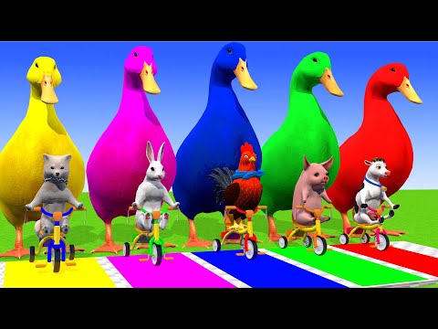 5 Giant Duck Cartoon, Lion, Elephant, Zebra, Gorilla, Dinosaur, Transfiguration funny animal 2024