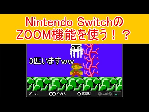 一寸先は闇マリオ#13 Nintendo SwitchのZOOM機能を使う！？ ZOOM MARIO