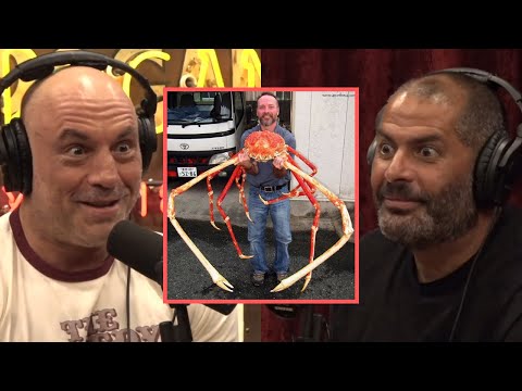 Joe Rogan & Chris Harris FREAK OUT About Giant Crabs