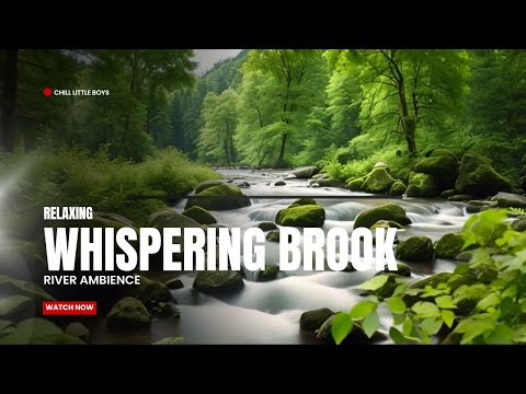 Whispering Brook: Flowing River & Lush Green Forest