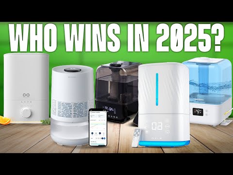 TOP 5 Best Humidifiers 2025