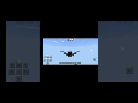 Flying With Elytra #shorts #short