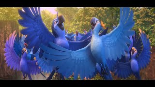 Rio 2 - Beautiful Creatures scene