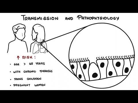 Understanding Influenza - The Flu