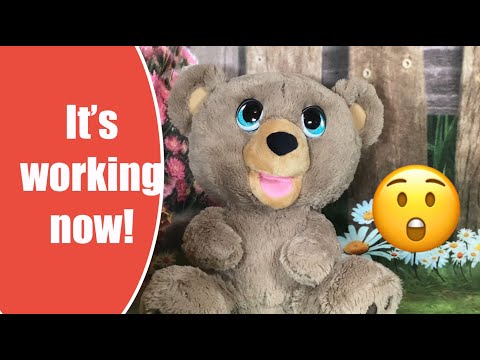 Poe AI Story Bear Working Now! #toys #newtoys #poeaistorybear