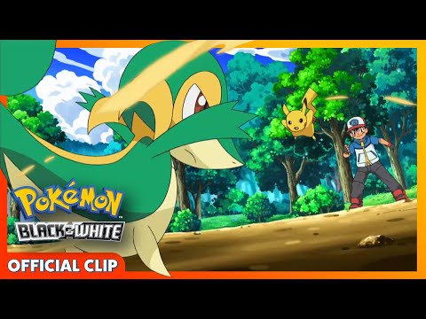 Pikachu vs. Snivy ⚡🐍 | Pokémon: Black & White | Official Clip