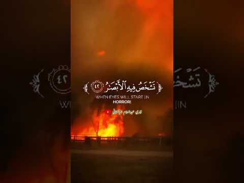 Los Angeles Fire | Tilawat Quran |los angeles fire | los angeles fire map | los angeles weather