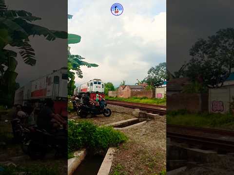 Melihat Kereta Api Melaju dari dekat #keretaapi #kai #relkeretaapi