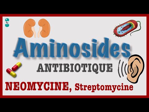 Les Aminosides - TOUT Savoir : Antibiotique Pharmacologie, NEOMYCINE, Streptomycine, TOXICITE