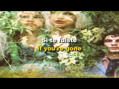 Shannon and The Clams -  Gone by the Dawn | Lyrics - Sub (Inglés - Español)