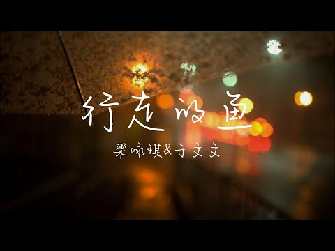 梁咏琪 & 于文文 - 行走的鱼 | 天赐的声音5 | 「我们都好像 像一条鱼 行走在陆地」|【动态歌词 Lyrics】