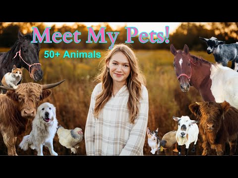 Meet all the ANIMALS on the FARM! 50+ Animals!!