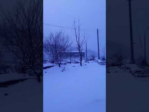 snow#korea #shortvideo