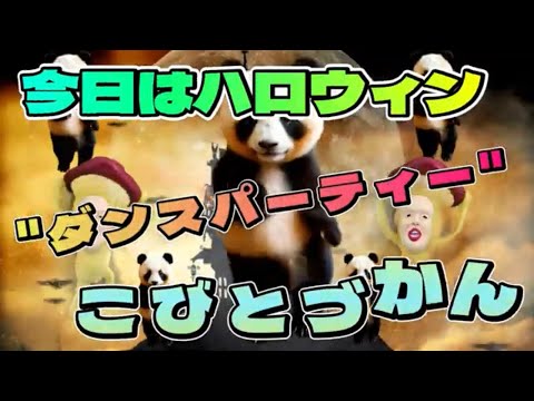 ハロウィンダンスパーティーナイト　feat.初音ミク　＃ハロウィン　#こびとづかん 作詞作曲レゴレゴレ