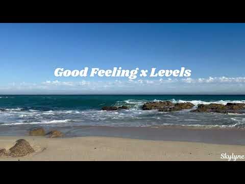 Good Feeling x Levels Mashup