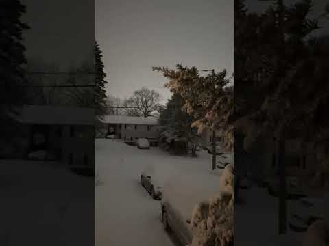 Surah Al-Kahf amazing recitation #quran #recitation #snow #day #beautiful #peaceful #amazing #shorts