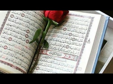 Surah Rahman Surah Rahman Recitationqari riaz  surah rahman surah rahman❤️❤️❤️