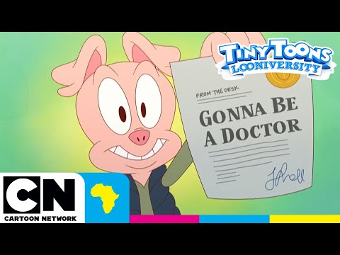 Medical School | TINY TOONS LOONIVERSITY | Cartoon Network Africa