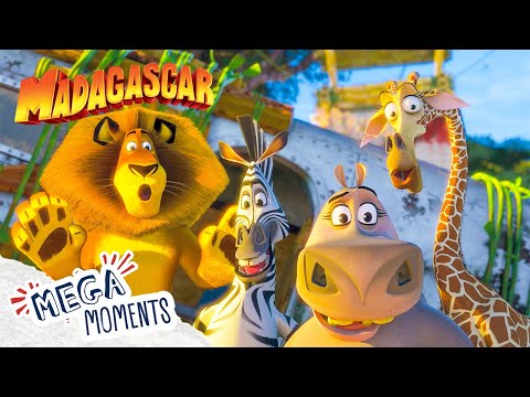 All Your Favourite Madagascar Friends! 🐾 | Madagascar | Compilation | Mega Moments