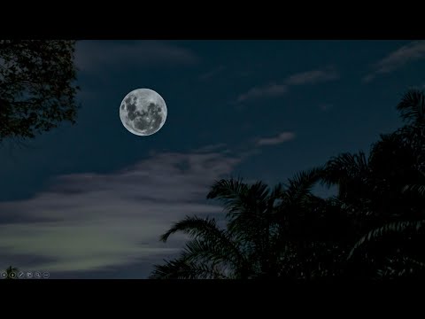 Science Behind Why Nature Sounds (Night) Help You Relax