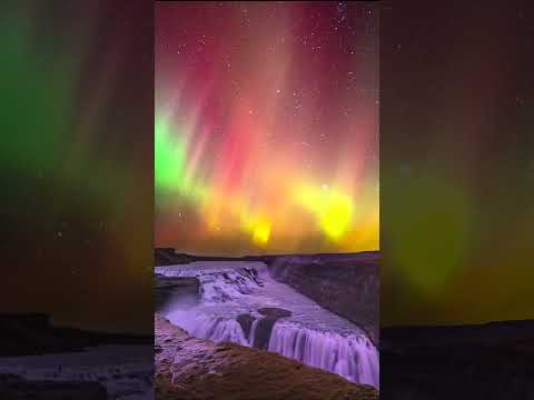 A kaleidoscopic display of colours 💚 💛 #NorthernLights #Iceland #Shorts #Science