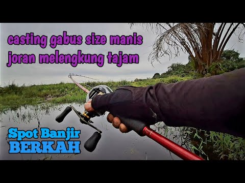 CASTING GABUS SAAT AIR BANJIR IKAN PADA NYAMBAR