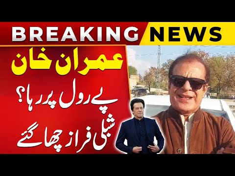 Imran Khan Released on Payroll? | Shibli Faraz Big Announcement | Public News