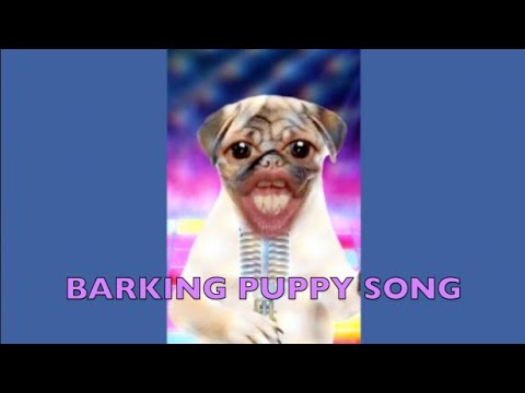 SONGS FOR KIDS: Barking Puppy Song