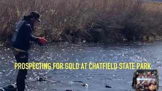 Prospecting at Chatfield State Park #goldpanning #prospectingforgold #panningforgold #panning #gold