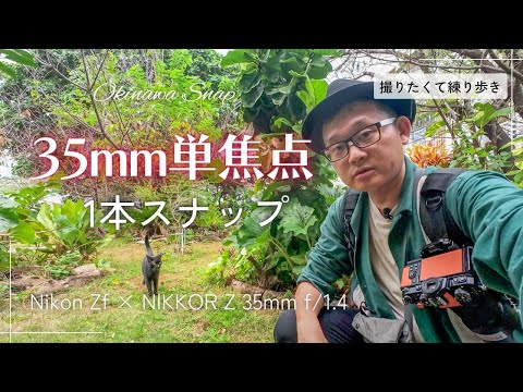 【レンズ一本】単焦点スナップ　Nikon Zf × NIKKOR Z 35mm f/1.4 【撮りたくて練り歩き】 | 沖縄