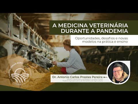 O ensino da Medicina Veterinária durante a pandemia