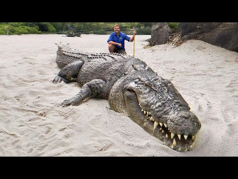 World’s Biggest Creature Ever Caught on Camera !