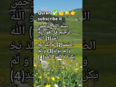 surah Al Ikhlas|#fullqurantranslation #qurantilawat #quran #alquran #islam #shorts #ytshorts